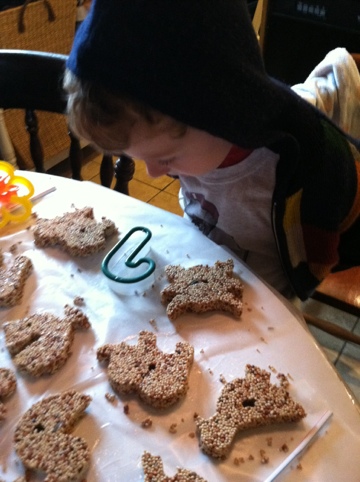 Make your own bird seed ornaments Joy Makin Mamas