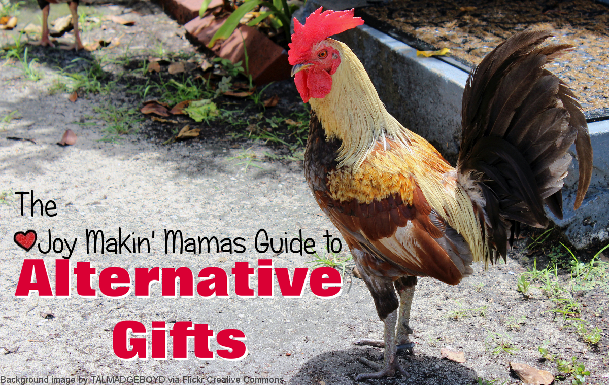 Joy Makin' Mamas Guide to Alternative Gifts