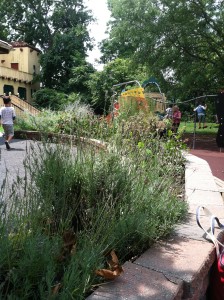 Garden at Glen Echo Park