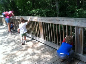 stream watching at Glen Echo Park