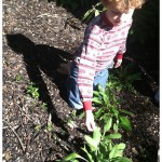 Kid's Garden (plus lesson resources)