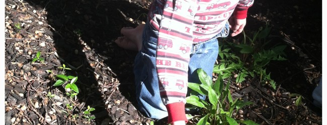 Kid's Garden (plus lesson resources)
