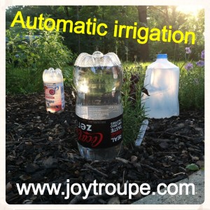 Gardening with kids: automatic watering system