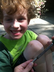 Measuring the soil temperature to track cicada emergence