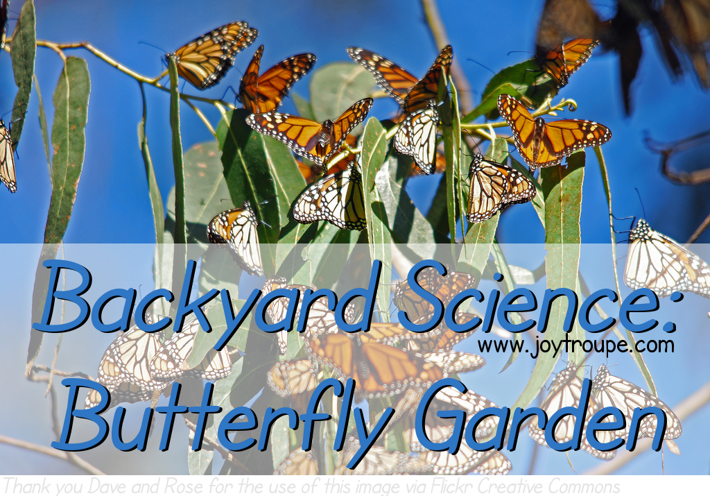 Butterfly Garden