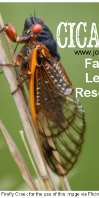 Back Yard Science: 17 Year Cicadas