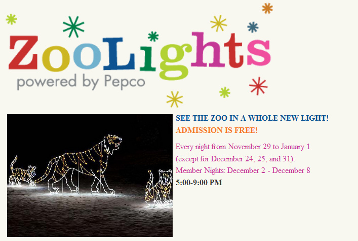 National Zoo Lights 2013