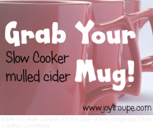 Hot mulled cider from your crock pot