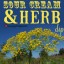 Sour Cream and Herb Dip Recipe