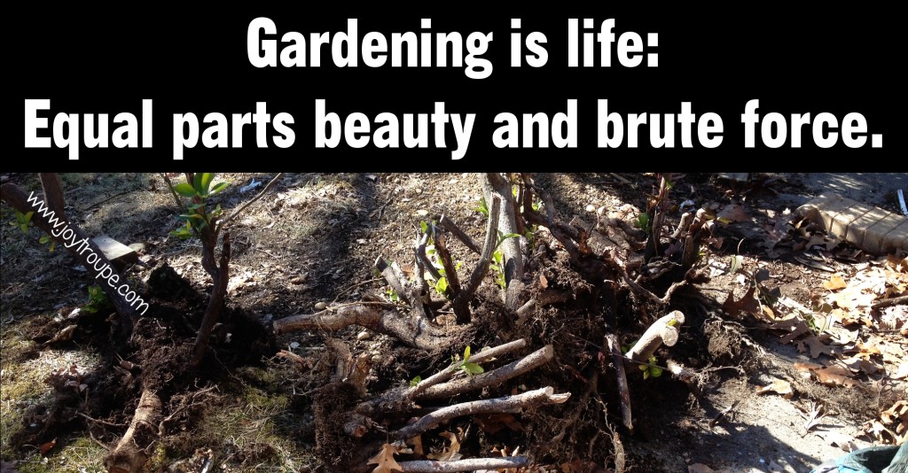 Gardening is life: equal parts beauty and brute force.