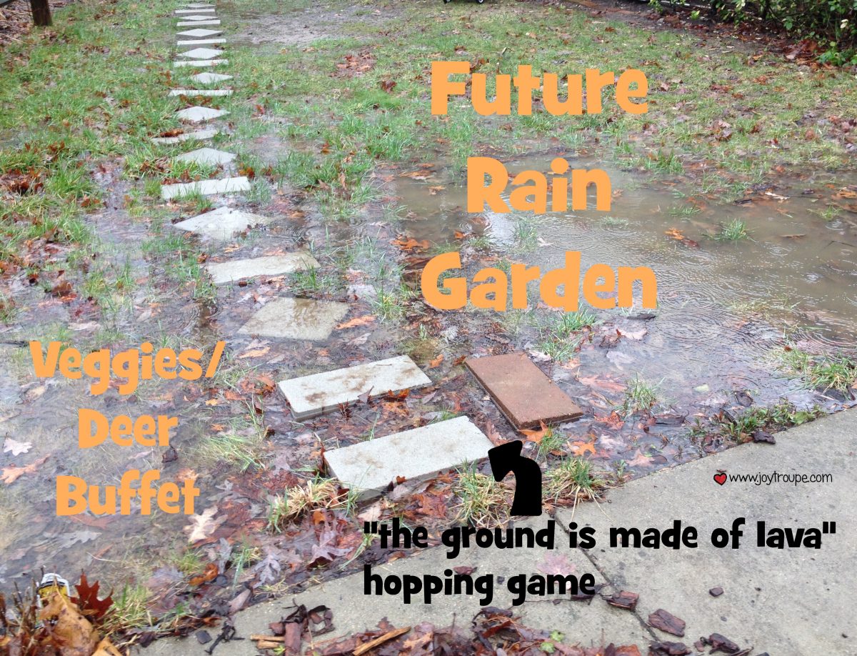 future rain garden turns puddles into hands on science