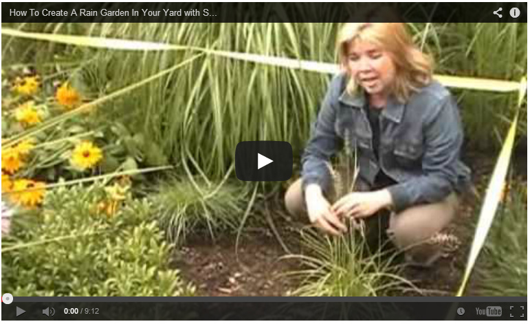 how to rain garden video