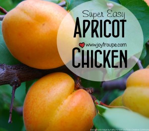 Super Easy Apricot Chicken Recipe
