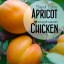 Super Easy Apricot Chicken Recipe