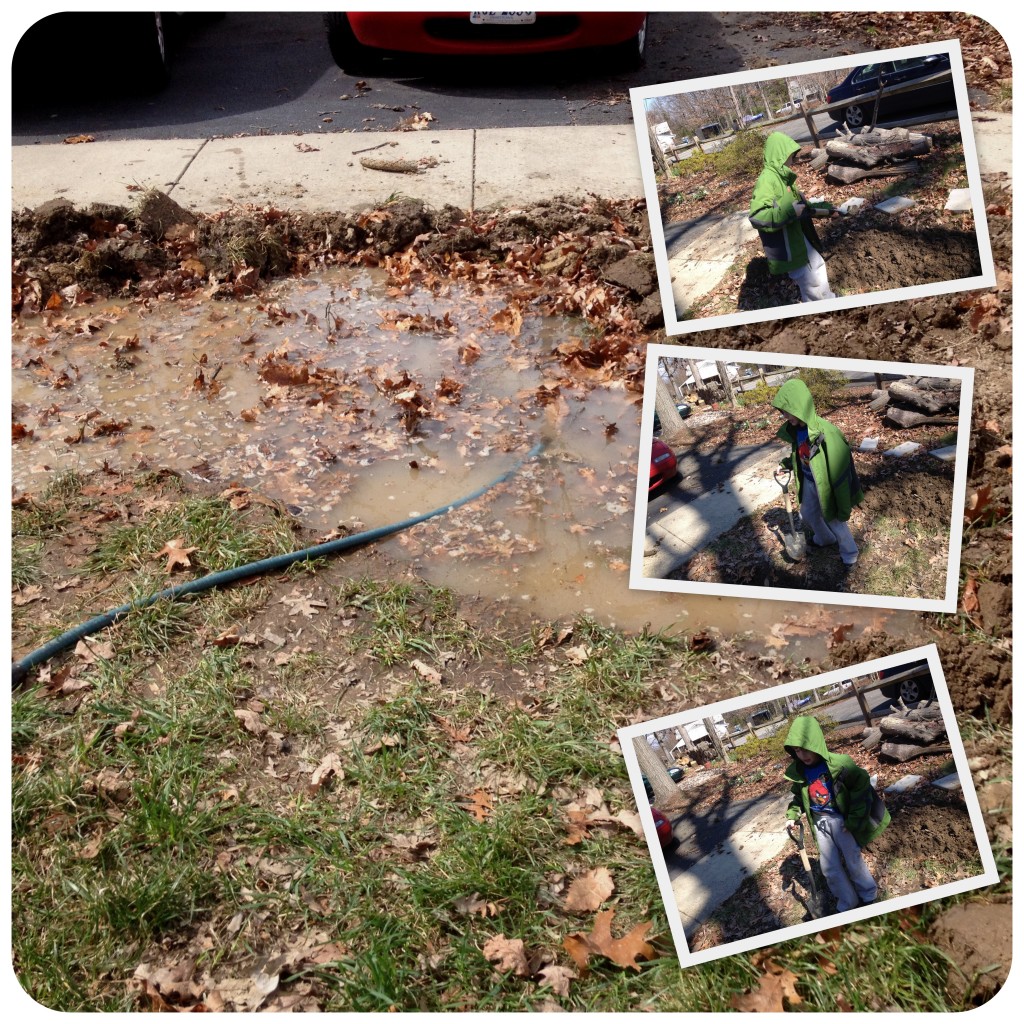 rain garden excavations 4-5-14