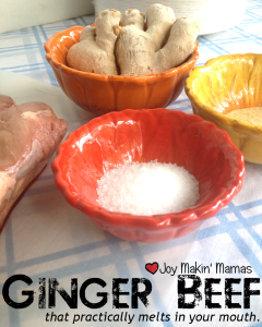 ginger beef pin melts in your mouth