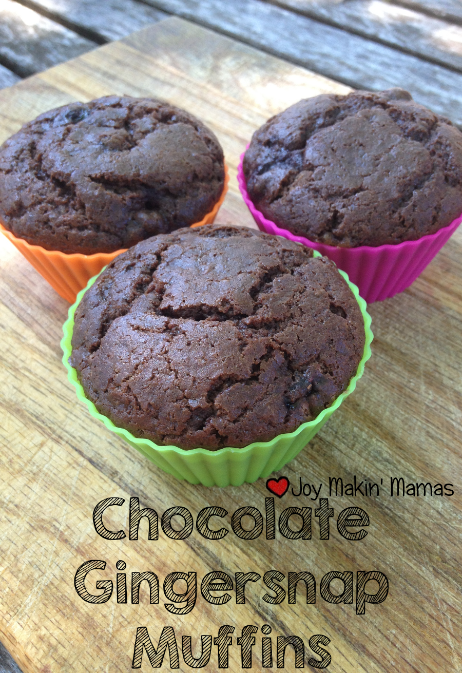 chocolate gingersnap muffin recipe