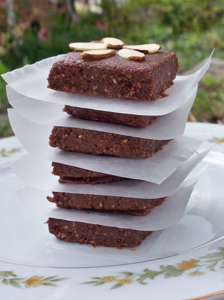 no bake sea salt brownie protein bars vegan peanut free recipe Joy Makin Mamas