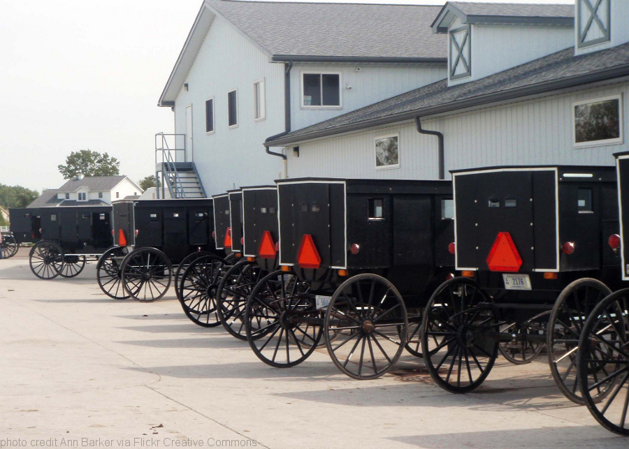 amish buggies Flickr Ann Barker