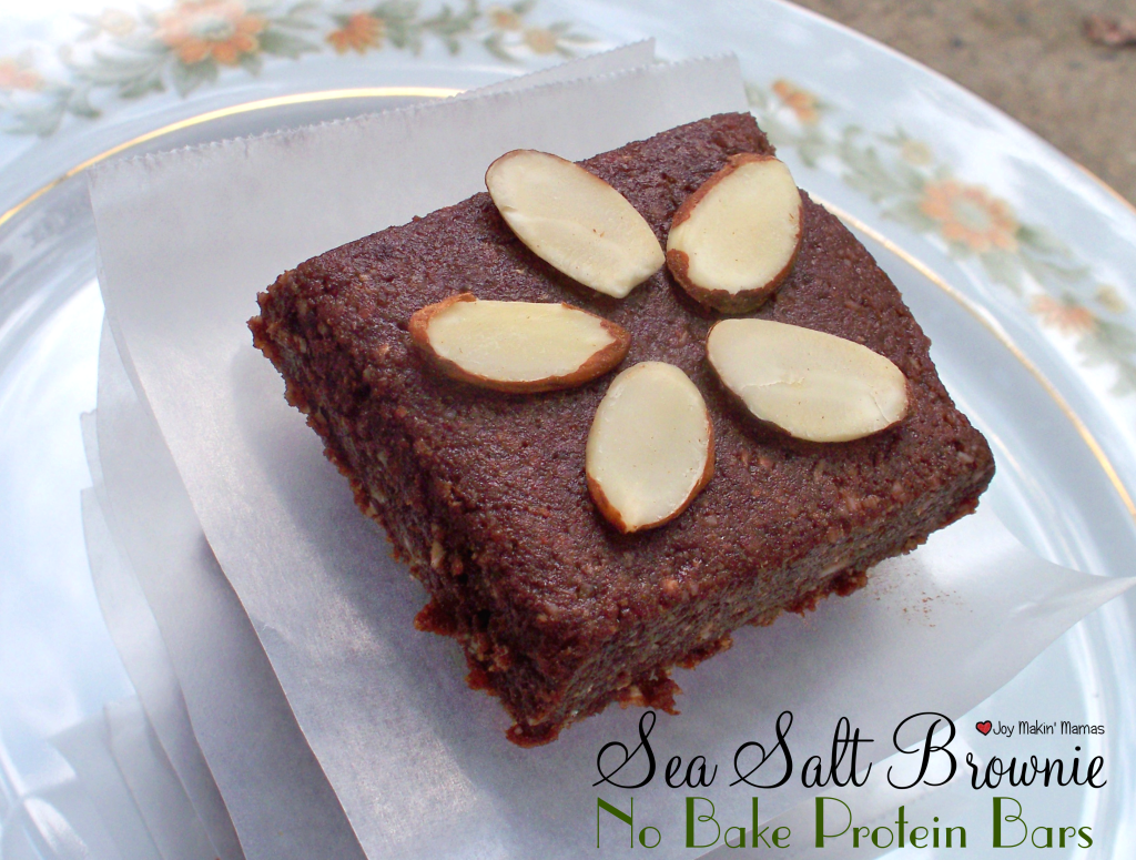 sea salt brownie no bake protein bars recipe vegan peanut free