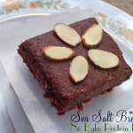 sea salt brownie no bake protein bars recipe vegan peanut free
