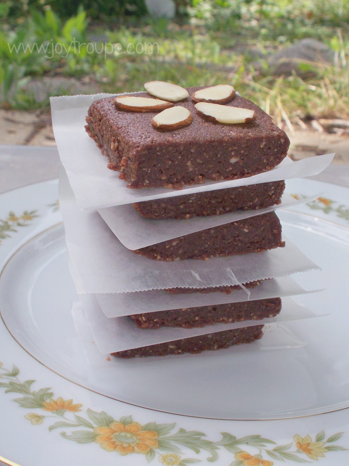 sea salt brownie protein bars vegan no bake peanut free