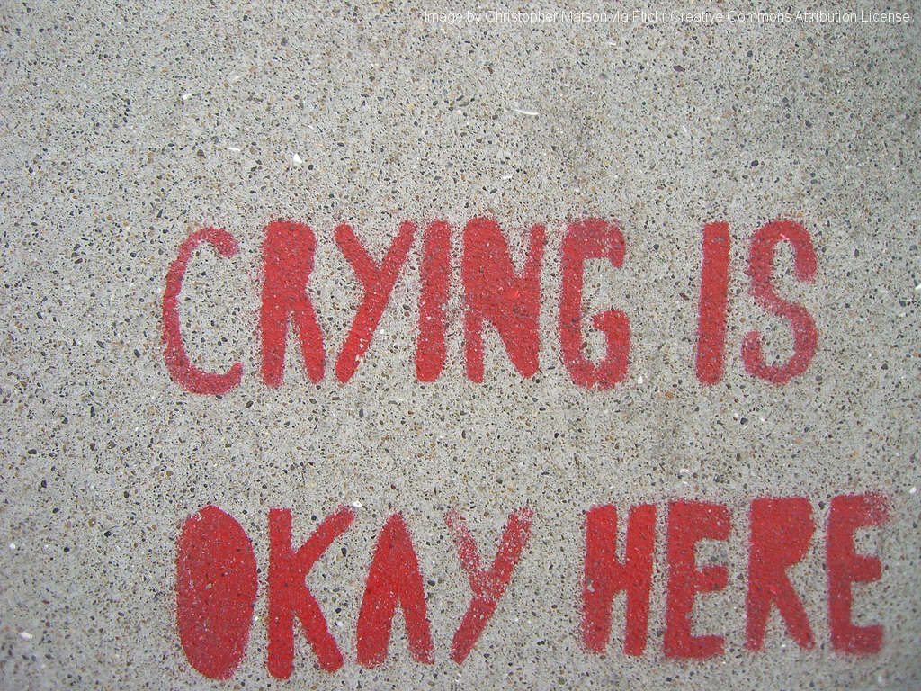 Crying is Ok here... unless you're a jerk. Joy Makin Mamas Blog