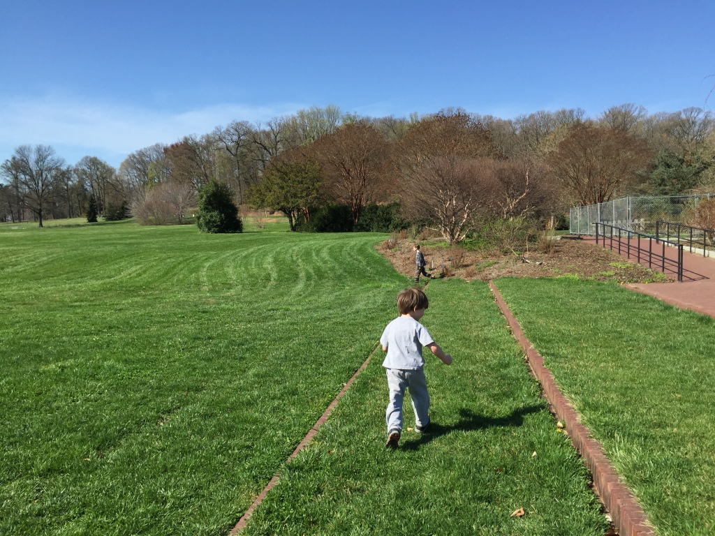 Room to run at the National Arboretum