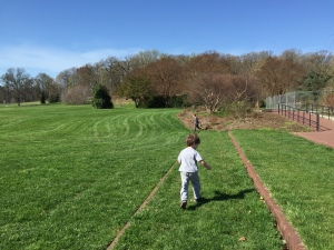Room to run at the National Arboretum