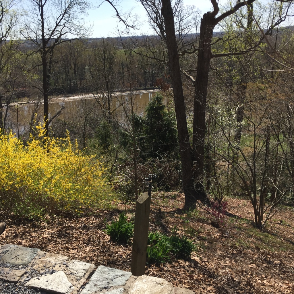 View from the overlook at National Arboretum